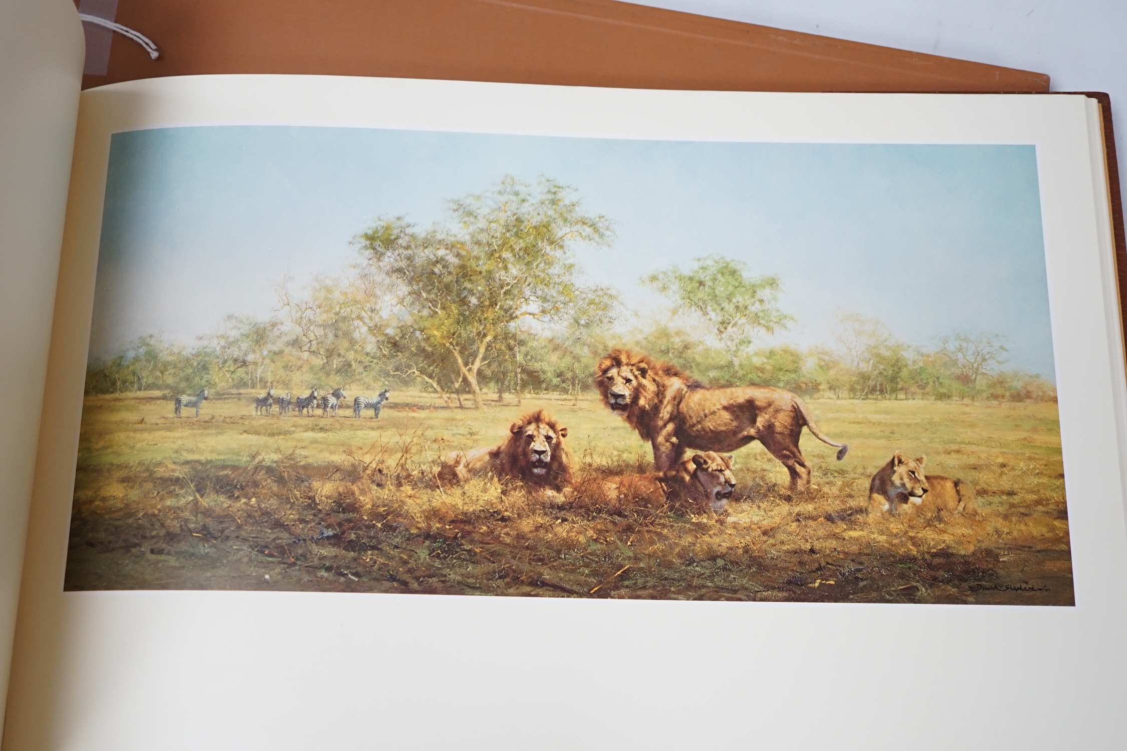 A folio of D. Shepherd signed prints of paintings of Africa and India